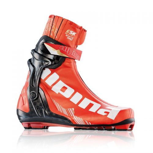лыжные ботинки ALPINA ESK PRO WC 5071